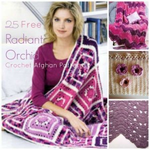 cro orchid patterns 0314