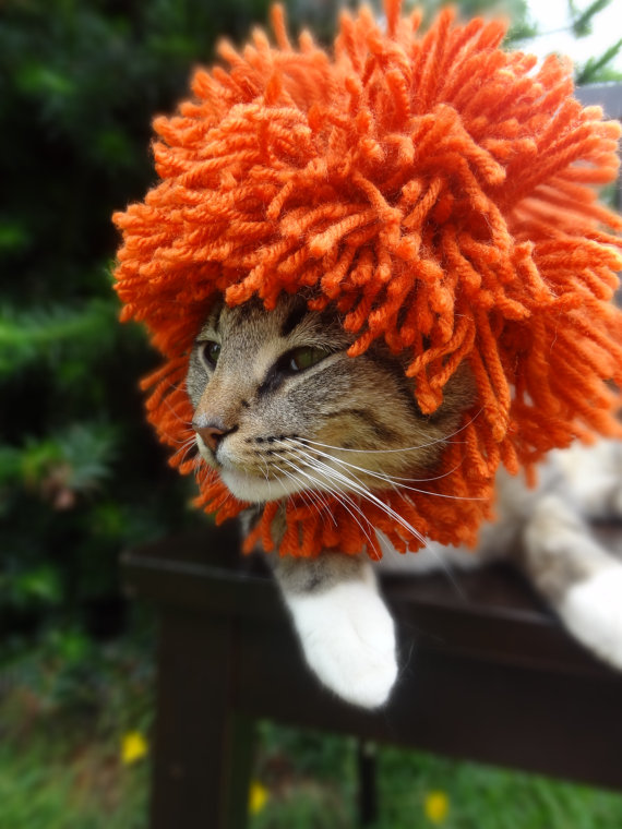 cat-hat-1