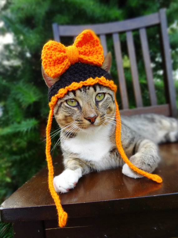 cat-hat-2